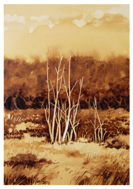 A coffee painting of sun bleached tree trunks along I75 south of Miami Beach, Florida by artist Steven Mikel, Dark Roast Watercolors - Painting with Coffee