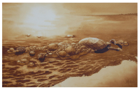 A coffee painting of last rays of the sunset lighting up sea foam and shells on the Siesta Key, Florida by artist Steven Mikel, Dark Roast Watercolors - Painting with Coffee