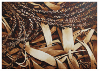 A coffee painting of dried corn husks used as a base for a Pumpkin patch artist Steven Mikel, Dark Roast Watercolors - Painting with Coffee