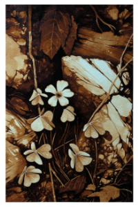 A painting of sorrel found along the road in Asheville, NC painted by artist Steven Mikel, Dark Roast Watercolors - Painting with Coffee