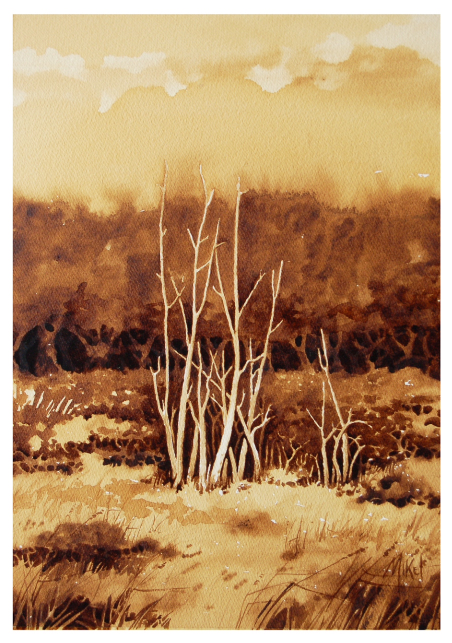 A painting of sun bleached tree trunks along I75 South of Miami, Florida