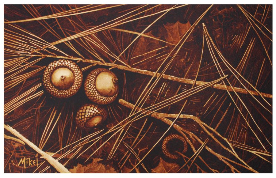 A painting of acorns and pine needles found in the wooded areas of Asheville, NC